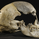 The Zlatý kůň cranium.